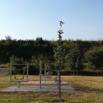 Palestra all'aperto