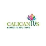 Calicantus-Famiglie-Adottive-A.P.S_medium