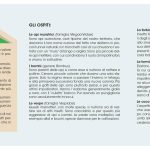 PIEGHEVOLI-INSETTI_pag.-2_reference