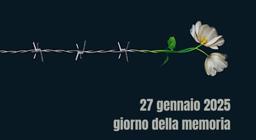 Immagine anteprima