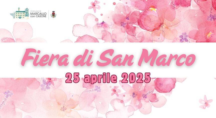 Immagine anteprima