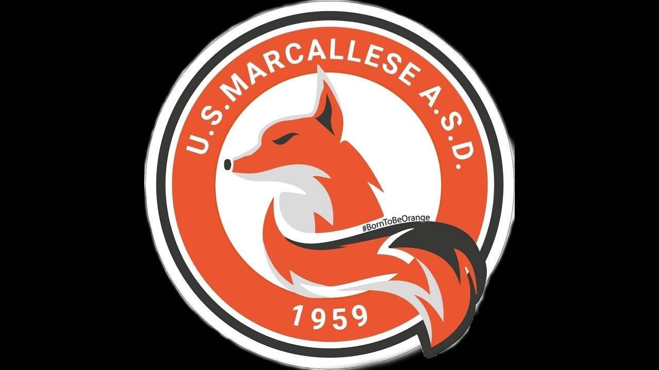 Immagine anteprima