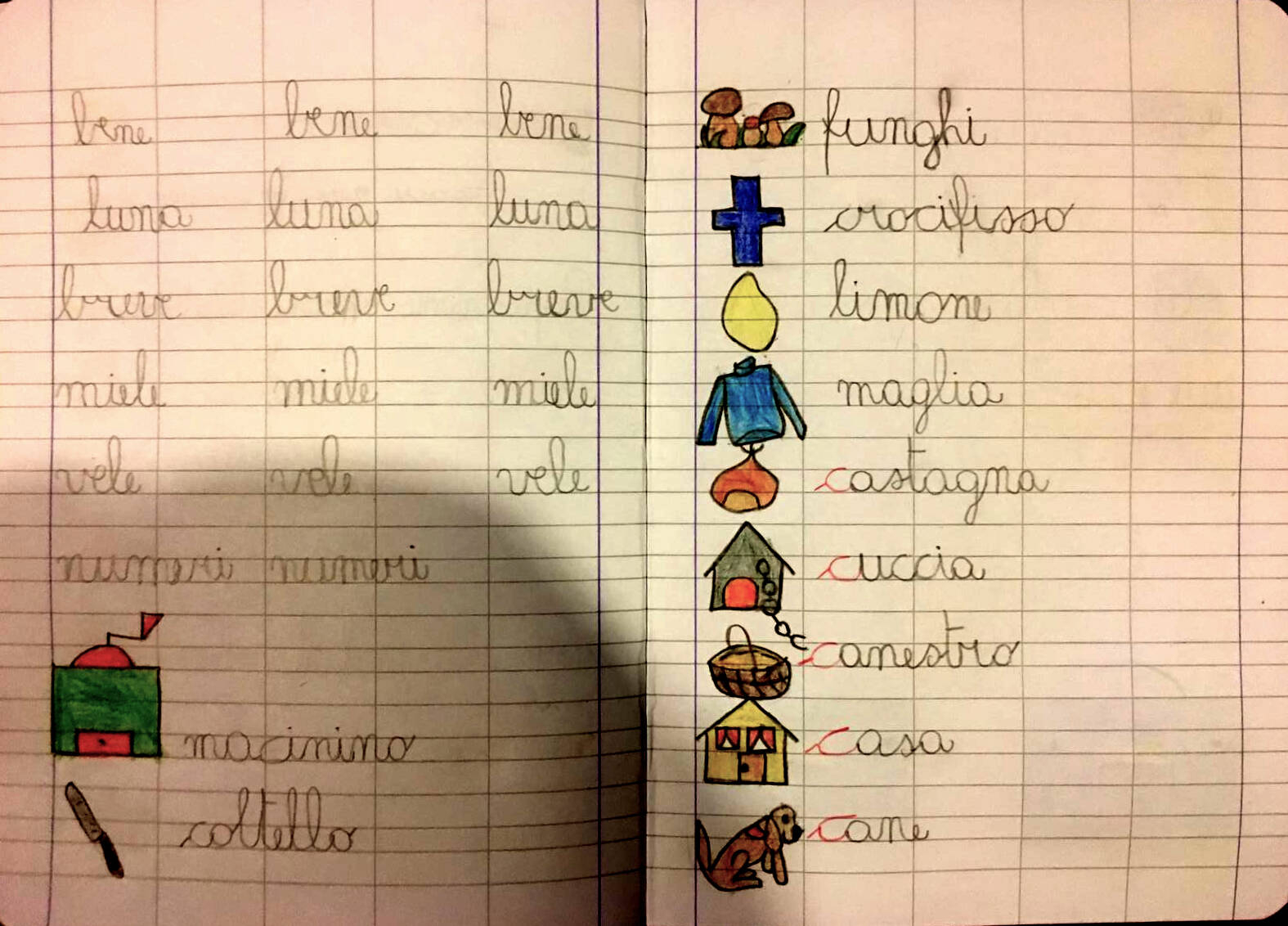 Immagine anteprima